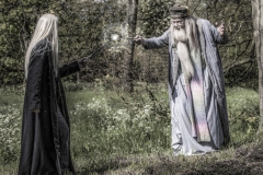 IMG_8831-Dumbledore