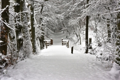 Ems-Schnee-1