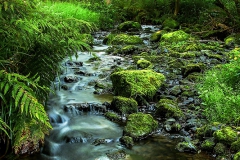 Landschaft-Natur-Funcke-14