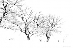 Landschaft-Natur-Funcke-16