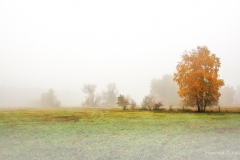 Landschaft-Natur-Funcke-3