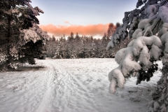 Moosheide-Schnee