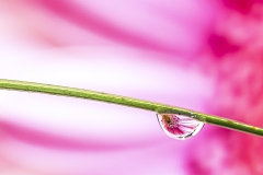 Wassertropfen_02
