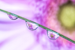 Wassertropfen_01