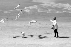 1_Manfred-Funcke_Schwarz-weiss-2