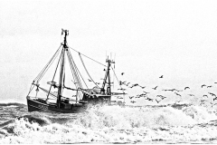 Manfred-Funcke_Schwarz-weiss-18